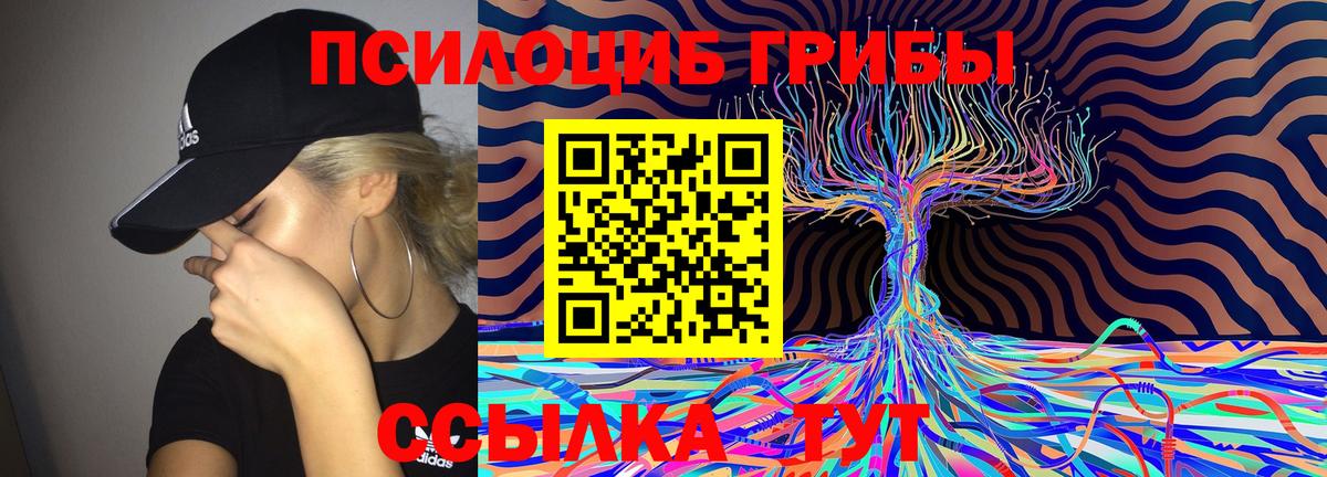 Псилоцибиновые грибы Cubensis  Вход с VPN  Муравленко 